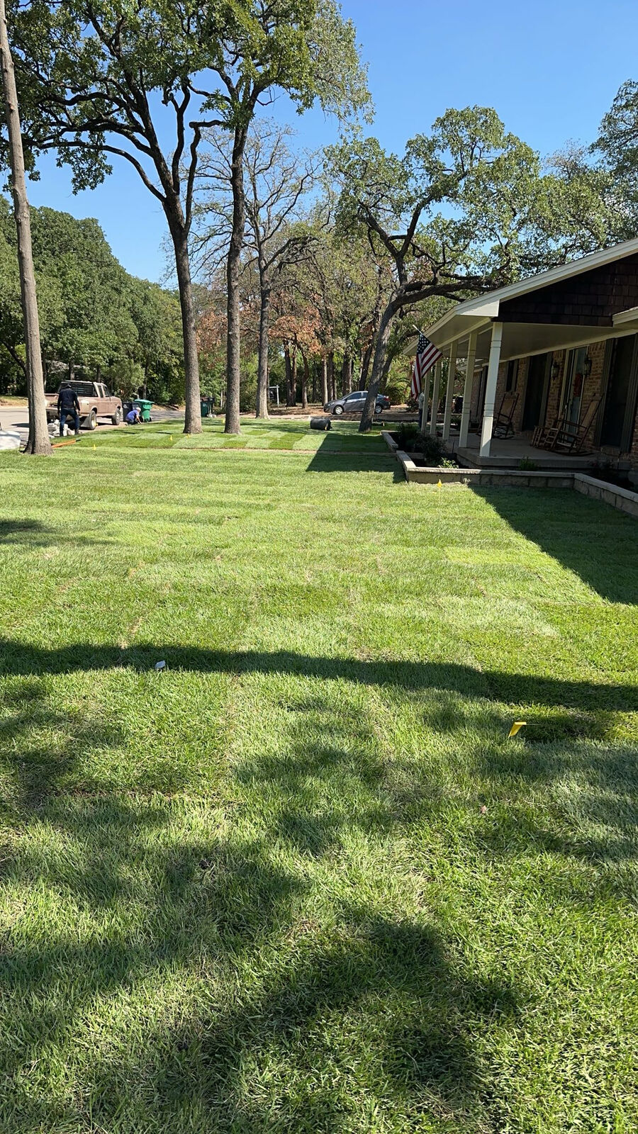 Shaded lawn under trimmed oaks after a property cleanup