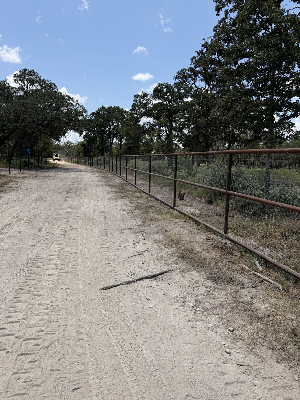 Pipe fence running along a gravel ranch drive lined with oaks