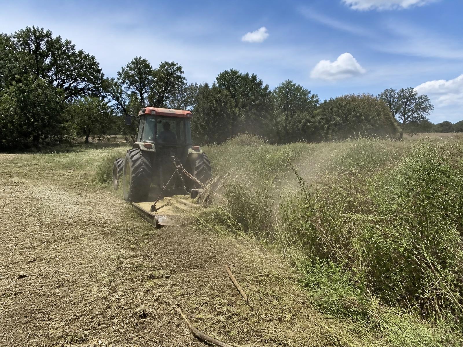 Tractor shredding overgrown pasture on a Texas ranch