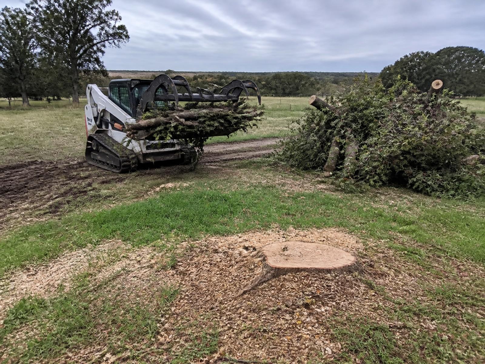 Skid steer clearing fallen limbs and a freshly cut stump on a Texas property